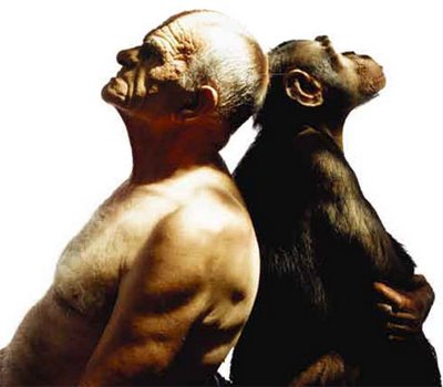 Animal racional? Tem certeza?
